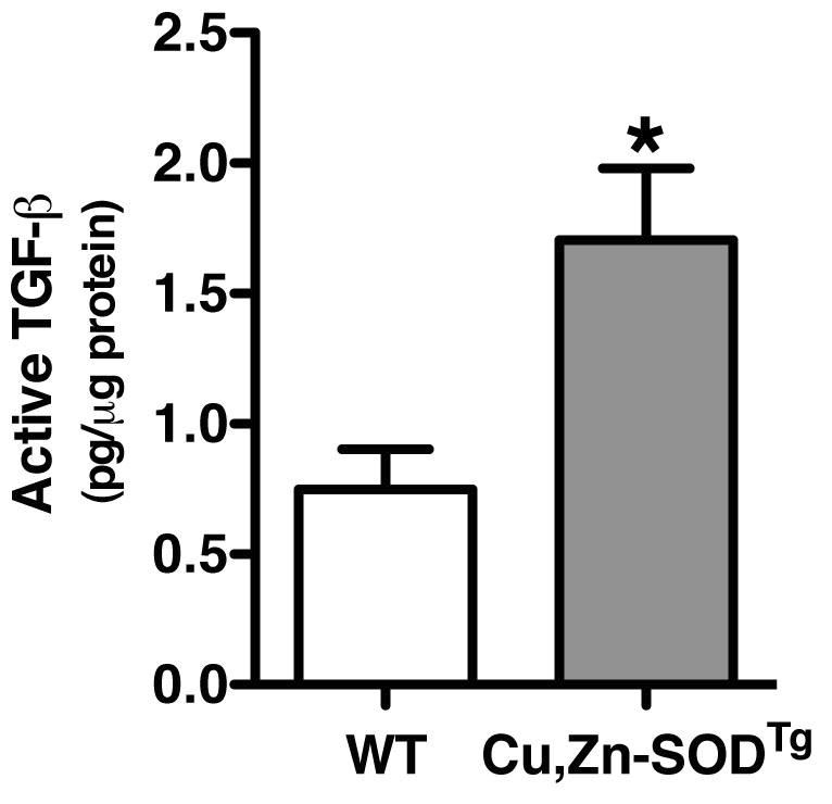 was measured Results show arbitrary units normalized to -actin mrna n 3 *, p 005 versus WT