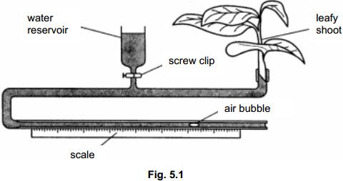 Question: 55 Transpiration is the loss of water from plants by evaporation. Fig. 5.1 shows a potometer, an apparatus used to estimate transpiration rates.