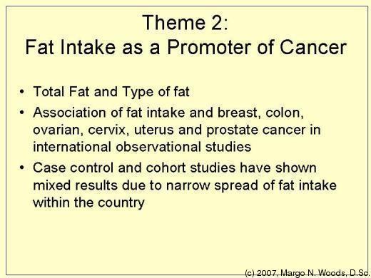 26. Theme 2: Fat Intake
