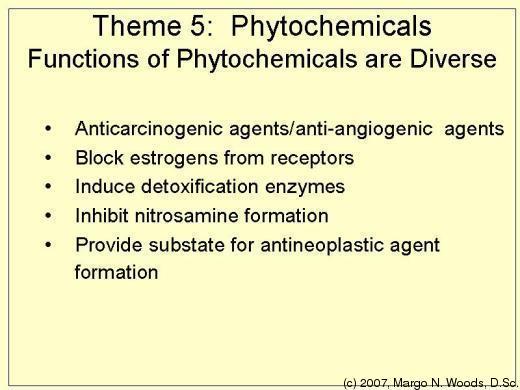55. Theme 5: Phytochemicals