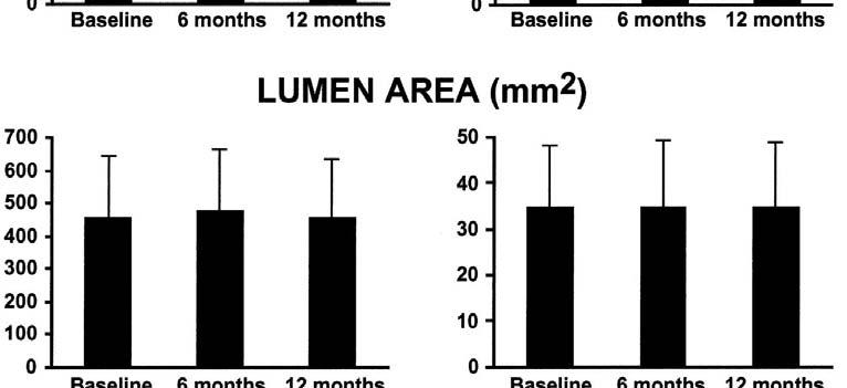 Effective and maintained lipid-lowering therapy by