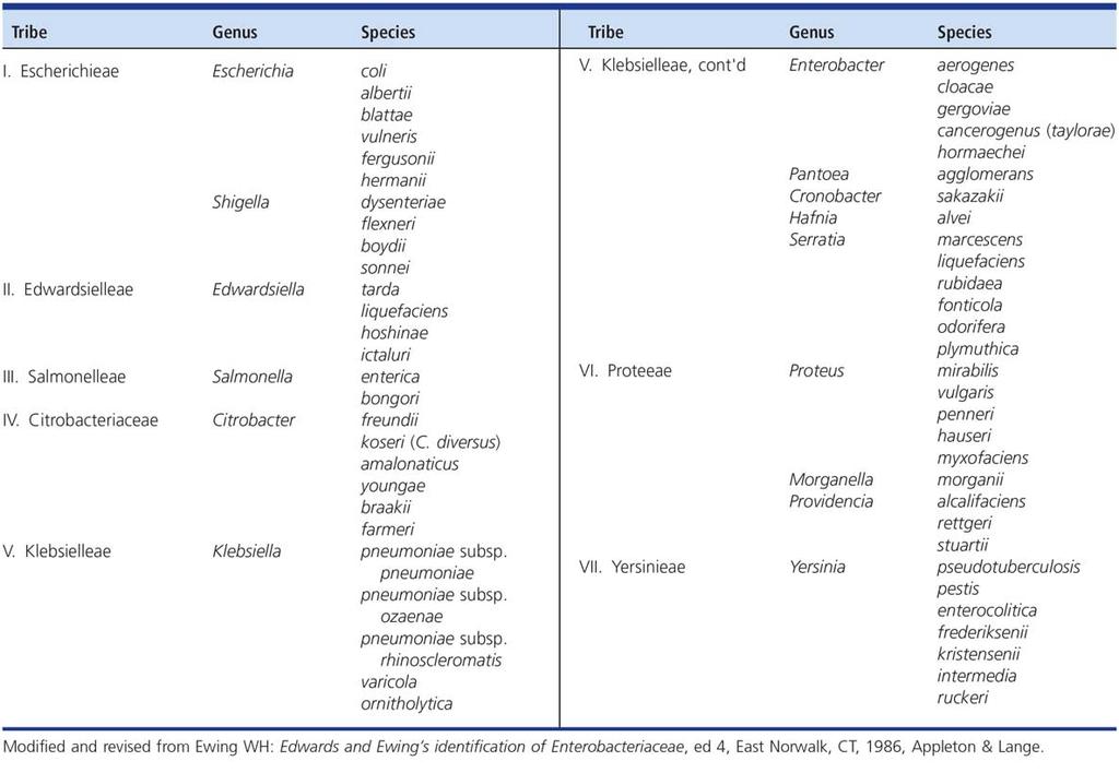 Table 1 Classification of Selected Species within the Family