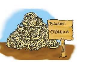 an estimated 100,000 deaths Cholera outbreak