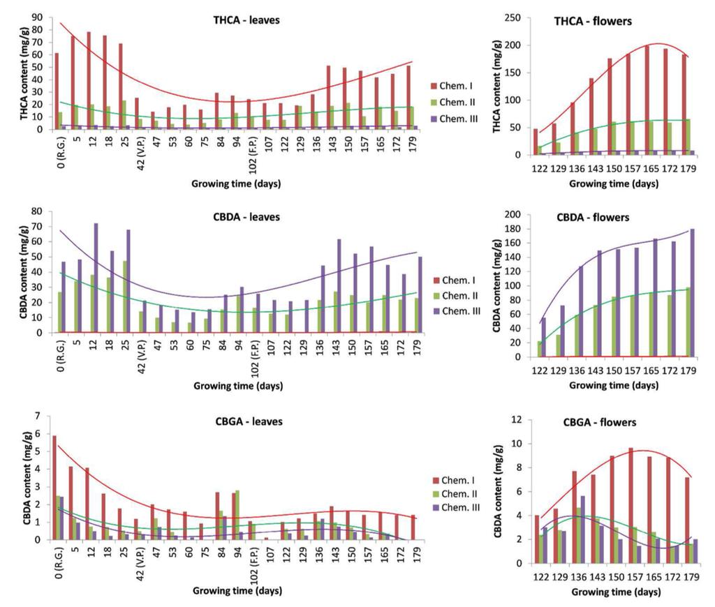 Figure 4. Cannabinoid Content Variations Over Time in Research Populations Conclusion As we ve demonstrated, the 0.