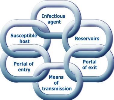CHAIN OF INFECTION (INFECTIOUS CYCLE) A chain of factors necessary for: Development & Maintenance of any infectious disease in the community. Agents causing infectious diseases.