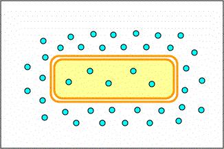 Movement across membraneno energy Hydrophobic Molecules: O2 - Oxygen N2 - Nitrogen benzene Small uncharged Polar