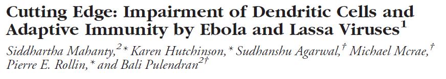 Ebola infection impairs DC maturation DC maturation is an essential process to induce an