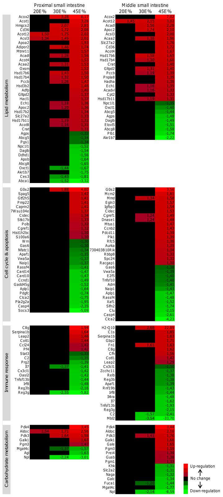 Heat map diagrams of fat-dose dependently regulated genes,