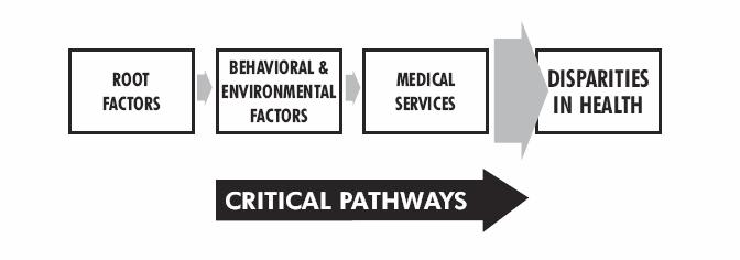 Complexity of Health Disparities The diagram delineates the pathways by which root factors such as oppression and discrimination increase the frequency and severity of injury and illness.