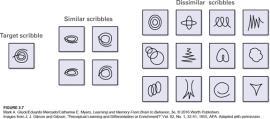 Perceptual Learning increased ability to detect and classify particular sensory stimuli after