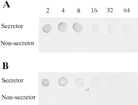 890 Liu, Fujitani, Koda, Soejima, Kimura rous cells, with their expression dependent on the secretor status.