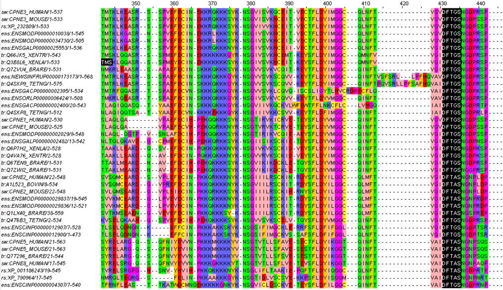 4. In silico analysis of Copine III Figure 4-3 Alignment of Copine III to other Copine family members Residues 1 573 of human Copine III were aligned to AA sequences of Copine family members from