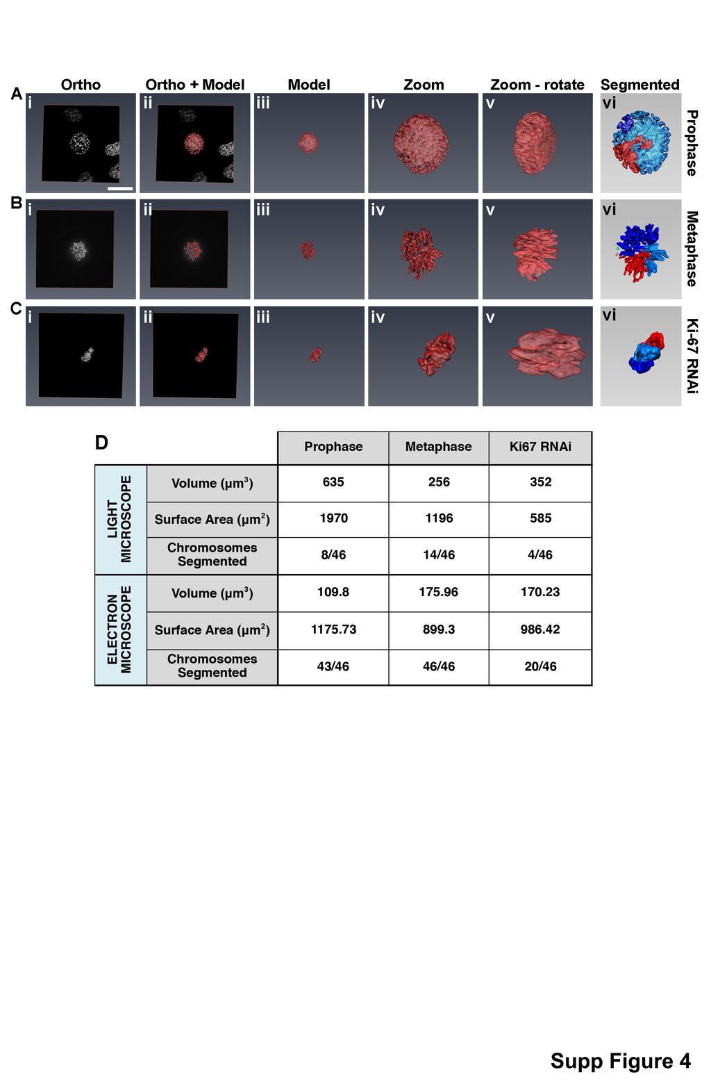 Supplementary Figure 4 (related to Figures 3, 4 and 6) Supplementary Fig. 4: Direct comparison of correlative 3D modeling using DAPI and SBF-SEM reveals large discrepancies.