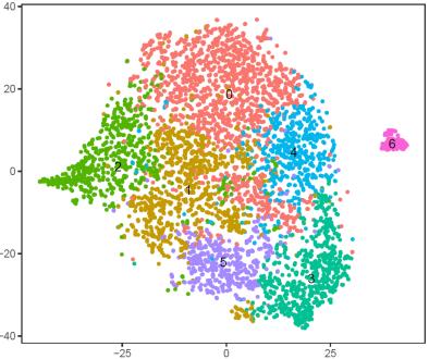 For t-sne visualization of mrna data, 6-7 clusters were identified using the top 1, 15, and