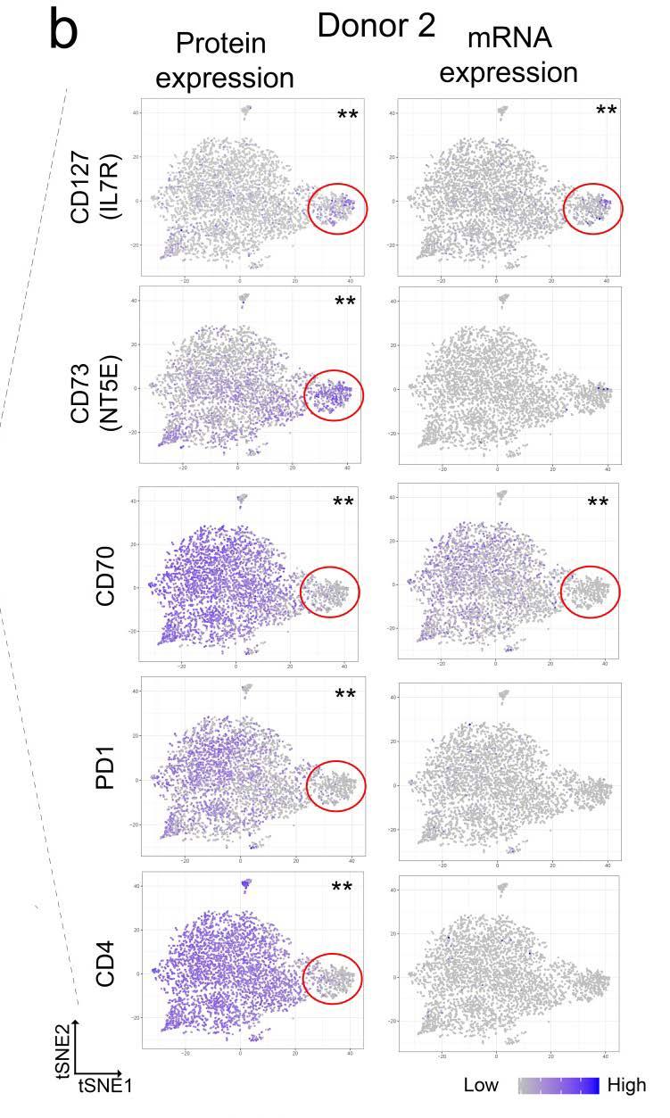 protein expression of IL7R, NT5E, CD7, PD1, and CD4 projected on the t-sne visualization plot (on right). Genes and proteins in the acd27 treated cells that had adjusted p-values <.