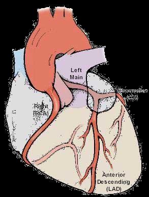 Because the blood needs to fill the ventricles from the atria there is a delay in the electrical charge reaching the ventricles.