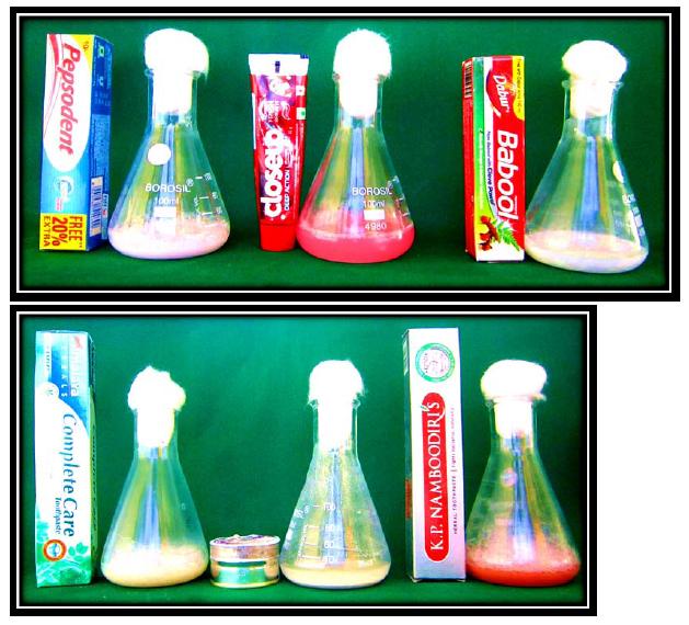FIGURE 3. (Continued) to determine anticariogenic activity of tooth paste and tooth powder by well diffusion method.