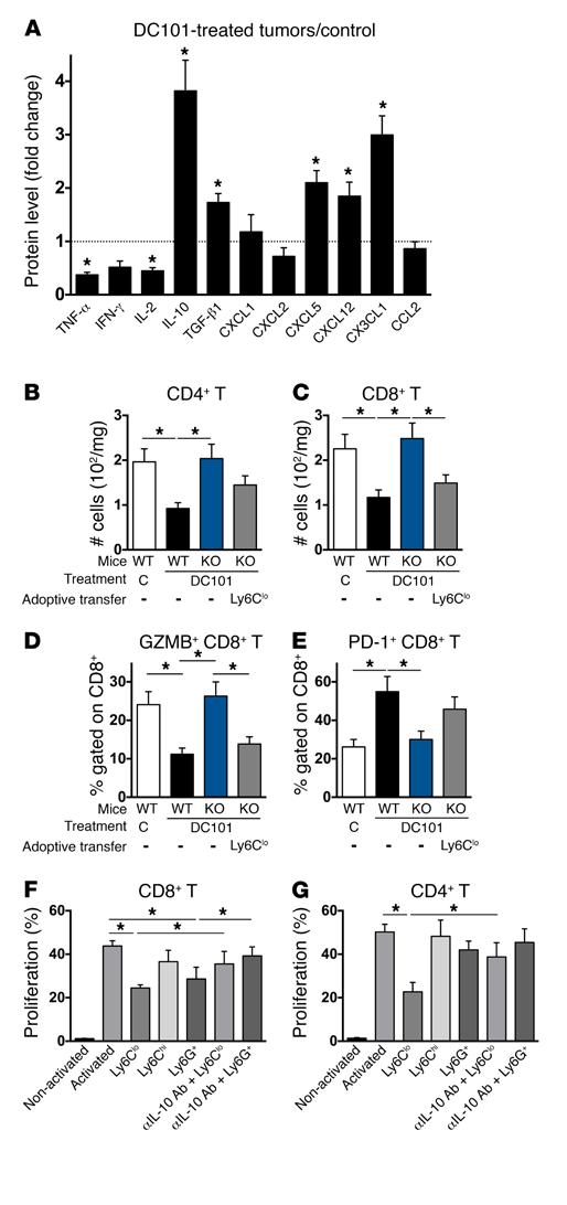 Figure 6. Ly6C lo monocytes drive immunosuppression during anti- VEGFR2 treatment in CRCs.