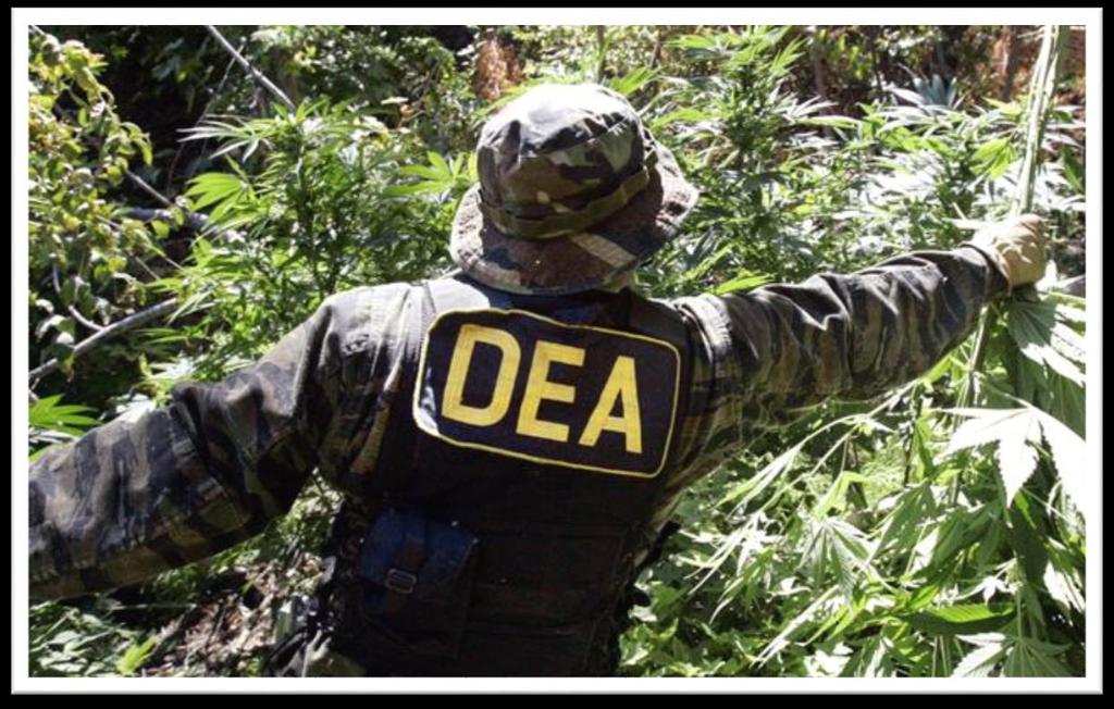How to Handle a Raid on a Medical Marijuana Dispensary Possession of marijuana is still illegal under federal law, and therefore a threat to all dispensary operators, even