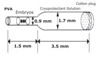 Vitrification: an emerging technology for cryopreservation in ART the loop. The cells are then transferred from vitrification medium onto the film of cryoprotectant on the cryoloop.