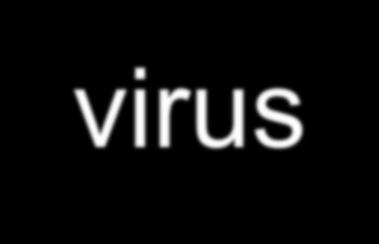 small changes in virus Apparently