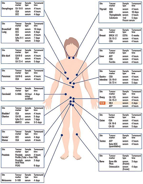 Tumour Markers at a Glance (The