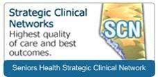 What are Strategic Clinical Networks (SCNs)?