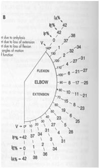 Elbow Elbow Anatomy Romina Astifidis, MS., PT.