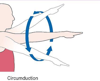 Hyperextension Abduction Adduction