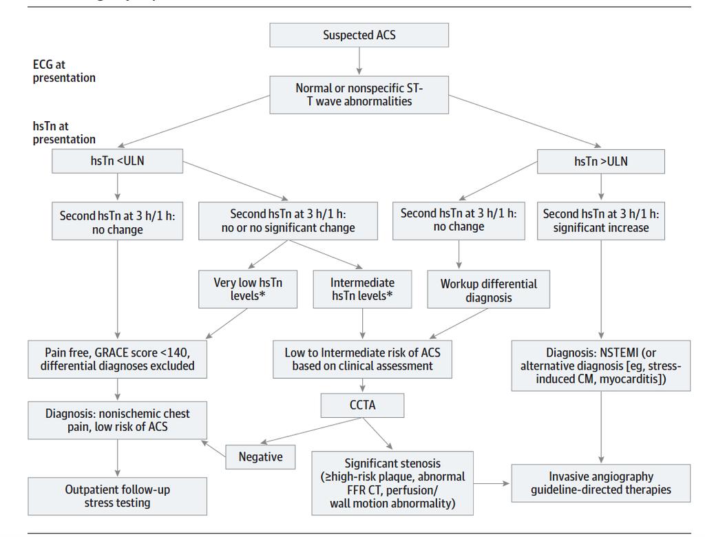 Suggested Algorithm for the Use of High-Sensitivity Troponin Assays and Coronary Computed Tomographic Angiography in the Evaluation