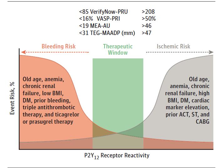 Therapeutic Window Concept for P2Y12 Receptor