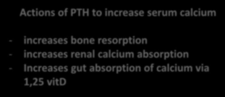 Calcium Metabolism Actions of PTH to increase serum calcium - increases bone resorption - increases renal calcium