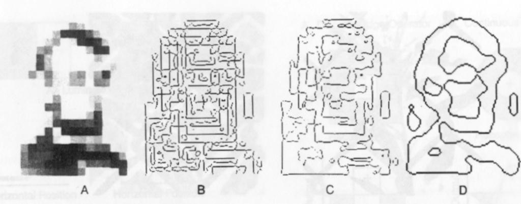 3.4. STRIATE CORTEX 41 Figure 3.30: This image shows the edges detected when the algorithm is run at different scales. (A) for fine edges, (B) for coarser edges (C) for coarsest edges. Figure 3.31: Scale integration model.