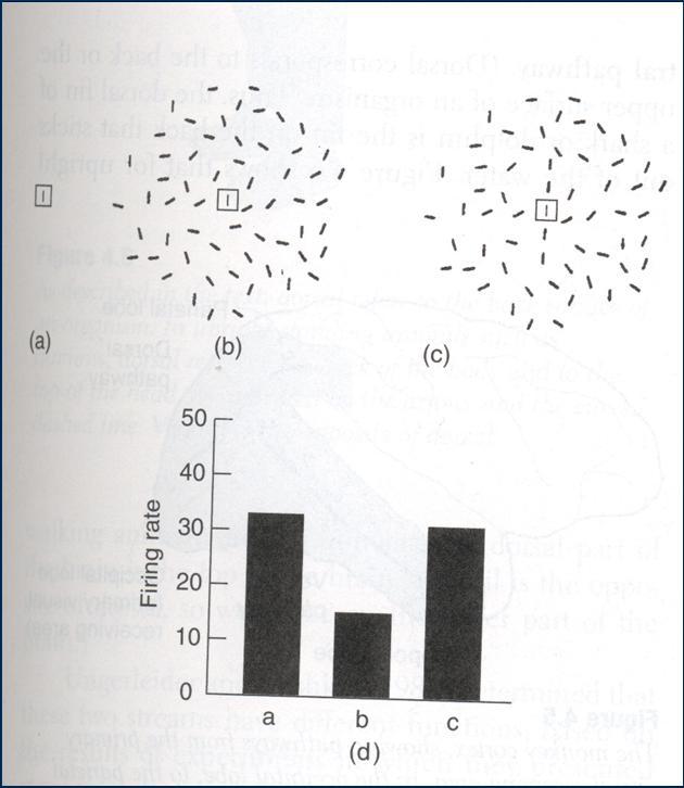3.5. THE ROLE OF ATTENTION 43 Figure 3.