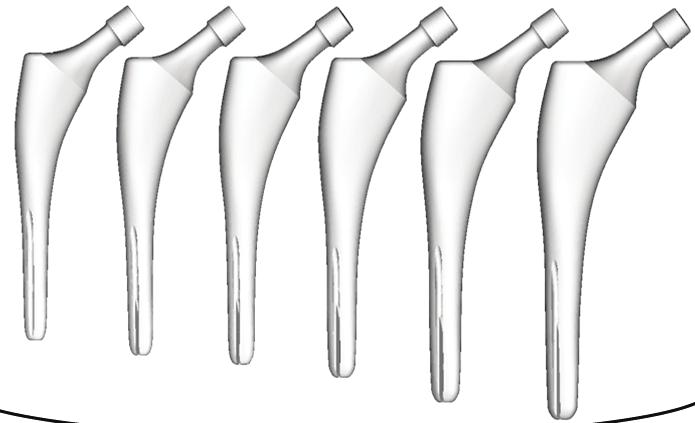3D surface models of femoral-stem