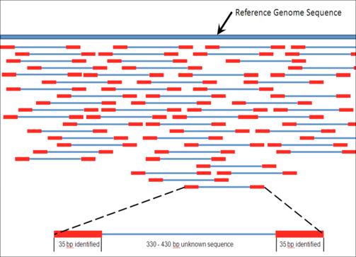 Next Generation Sequencing - Sequencing target (e.g. a genome) - Library preparation (includes fragmentation) - Single vs.