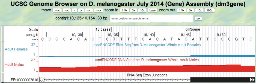 FIGURE 8 GRAPHICAL VIEWER CENTERED ON THE JUNCTION BETWEEN INTRON 1 AND EXON 2 OF THE TRA-RA (FEMALE SPECIFIC) ISOFORM Q10. What are the last two nucleotides of the female tra-ra intron 1?
