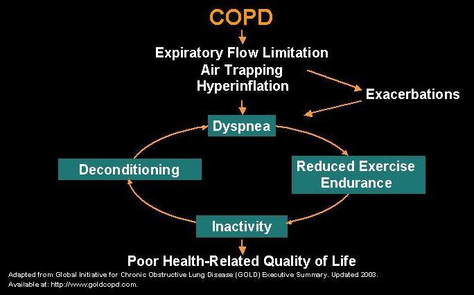 Projected to Be the Third-Leading Cause of Death by 2020 COPD: Direct Cost Proption of 965-998 Rate, Percentage Change in Age-Adjusted Death (US) $20 3.0 2.