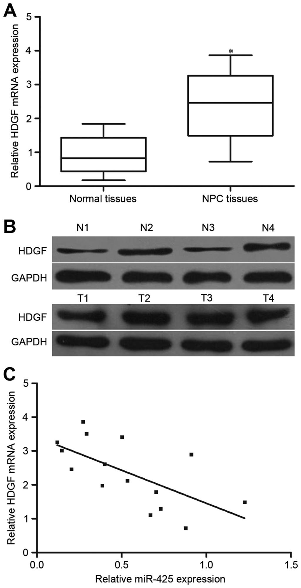 05 compared with normal nasopharyngeal tissues. (B) The protein level of HDGF in NPC and normal nasopharyngeal tissues were investigated using western blotting.