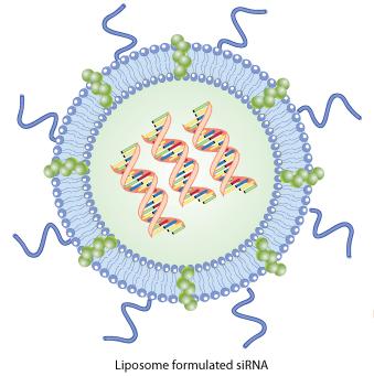 Lipid Nanoparticles for Systemic RNAi Multi-component lipid