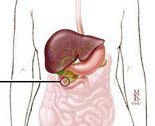 Gallbladder weight (mg) SoO (Common Duct) Pressure (% CFB) ORP-101: