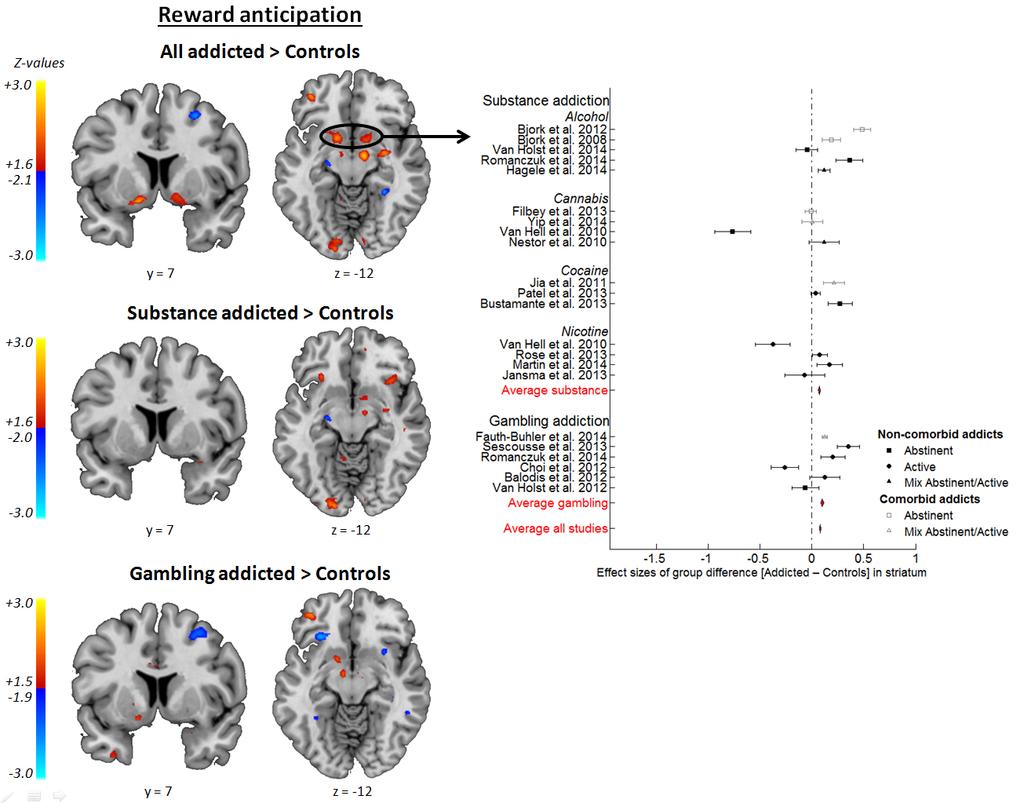 efigure 5. Whole-brain meta-analytic results in the ventral striatum for reward anticipation after excluding the two datasets from van Hell et al. (2010).