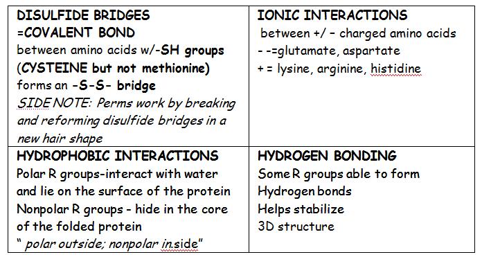 hydrop hyllic Tertiary Structure hydrop