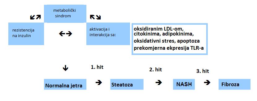 (lipogeneza) (upala) Nealkoholnu masnu bolest jetre (NAFLD) definira nakupljanje masti u obliku triglicerida u jetri.