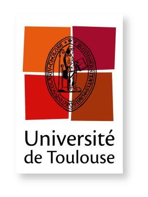 En vue de l obtention du DOCTORAT DE L UNIVERSITÉ DE TOULOUSE Délivré par : l'université Toulouse III - Paul Sabatier Spécialité : Neurosciences Présentée et soutenue le : 07/07/2017 par