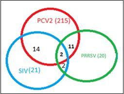Figure 3.5 Geographic-related seroprevalence of PCV2, PRRSV NA and SIV NP pan-ig (left) and IgM (right) antibodies in feral swine populations, state of Hawaii.