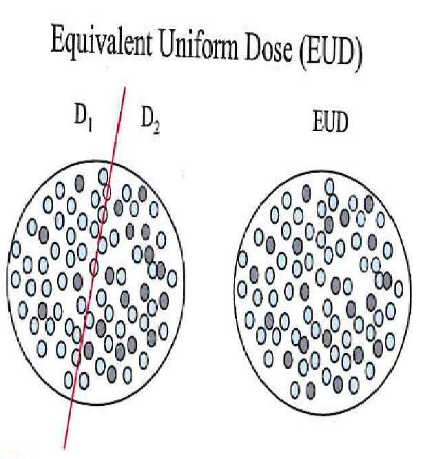 2.3 Radiobiology 2 BACKGROUND 2.3.4 Equivalent Uniform Dose Niemerko [21] made an assumption that two dose distributions are equivalent if they cause the same probability for tumor control, as demonstrated in Figure 15.