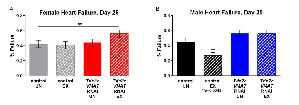 Figure S4 Supplemental Figure S4: Octopamine affects cardiac performance in Drosophila, Related to Figure 4.