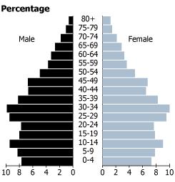 The Aging Population - 2 2000 2050 Older women outnumber men, among them, about 60% are over 80