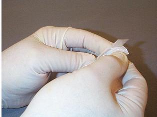 the rectal lining Use latex gloves to protect your hands and client during the application 2.